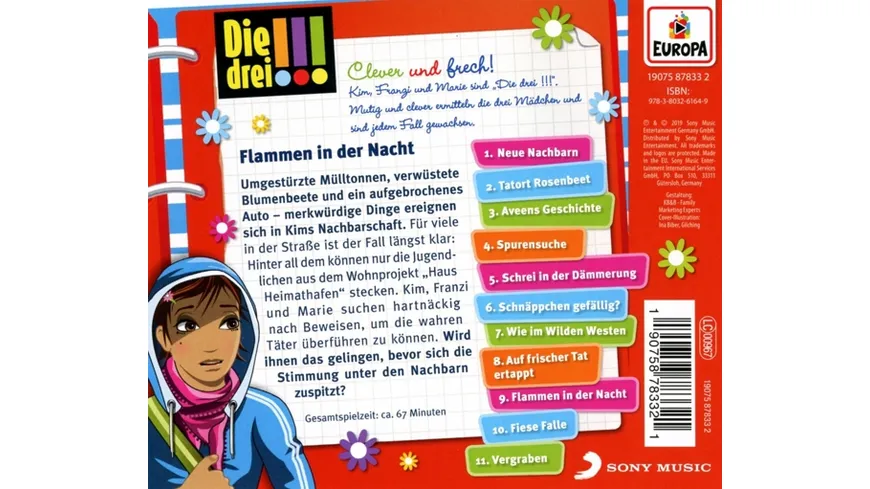 063/Flammen in der Nacht