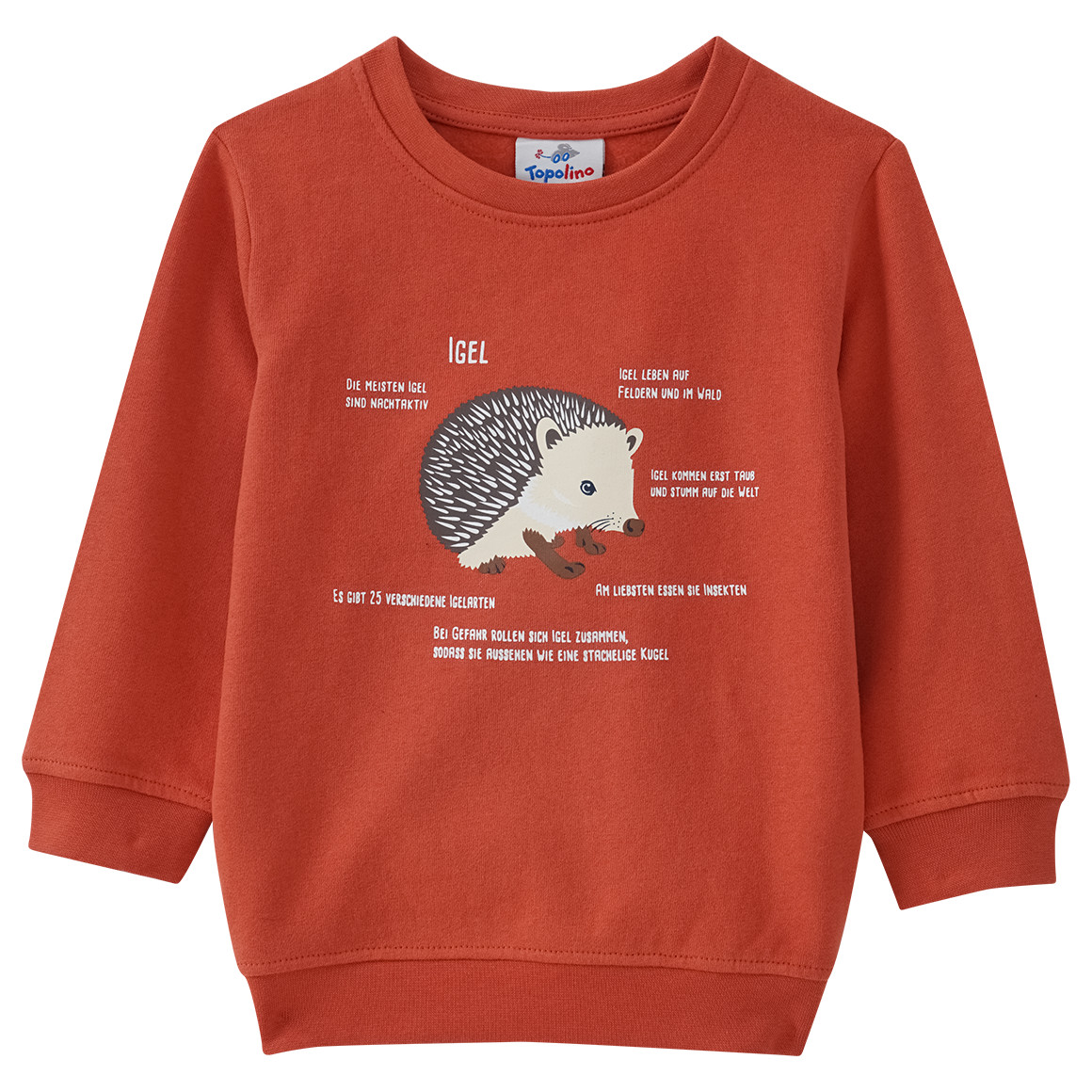 Kinder Sweatshirt mit Igel-Motiv