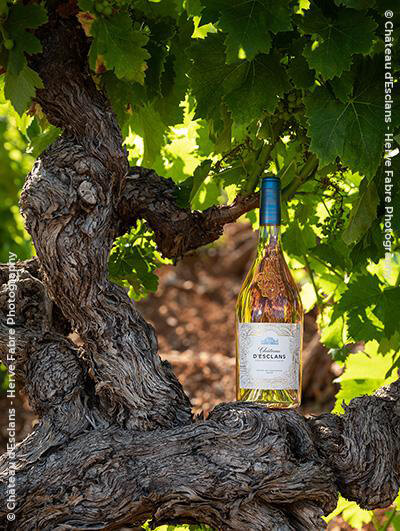 Château d'Esclans 2022