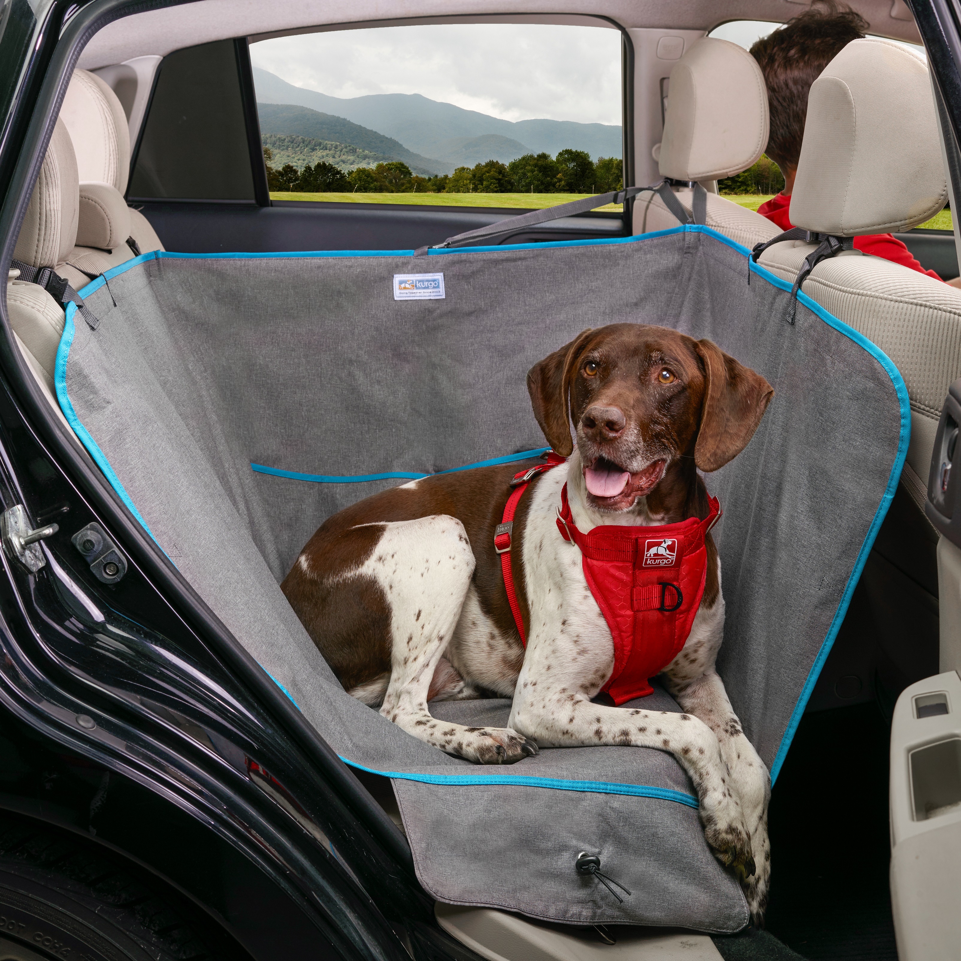 Kurgo Autozubehör Kurgo Halbhängematten-Sitzbezug für Hunde, Grau