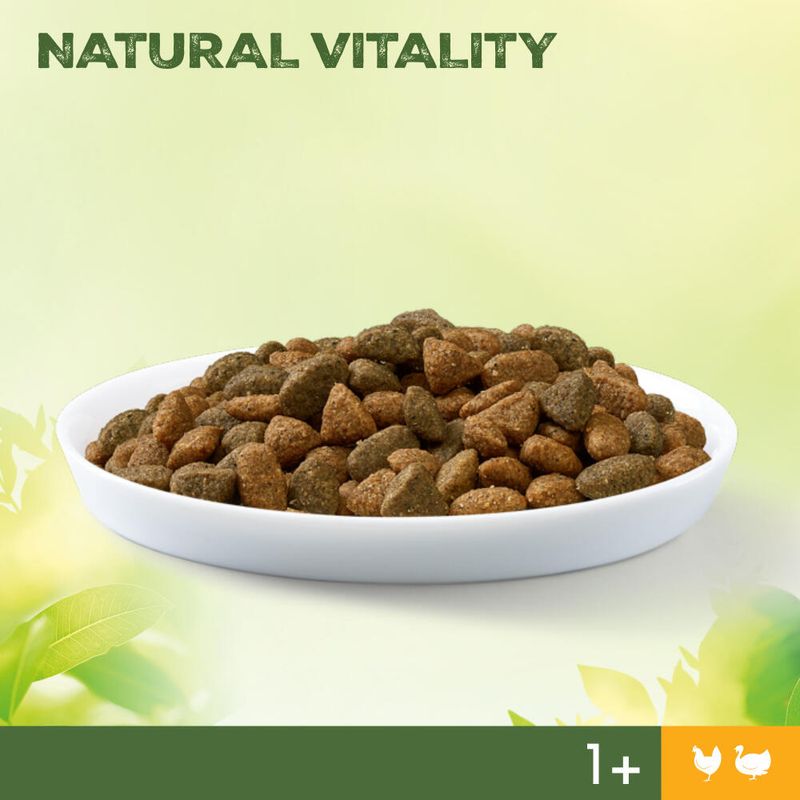 Perfect Fit Natural Vitality Adult 1+ Huhn und Truthahn | bitiba