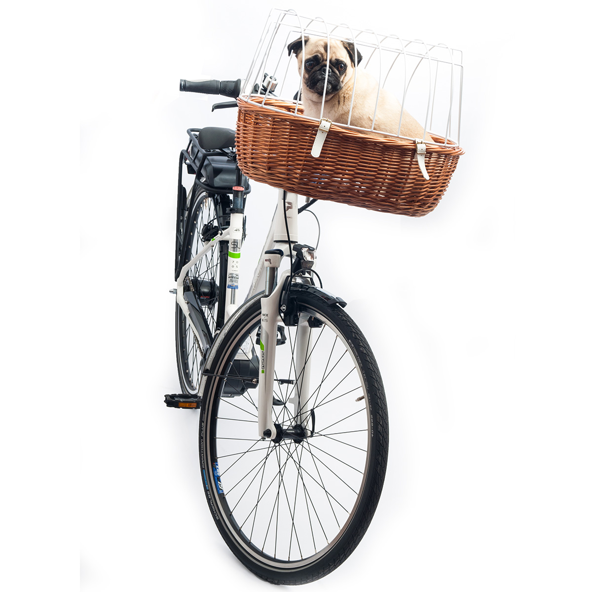 Aumüller Fahrrad-Tierkorb E-Bike fähig kaufen