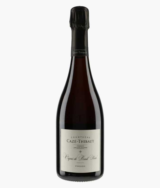 Champagne Vignes de Reuil 2020CAZE THIBAUT