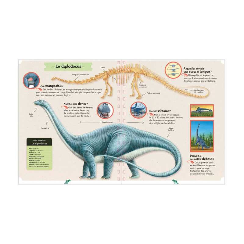 Livre La petite encyclopédie des dinosaures - Gallimard Jeunesse