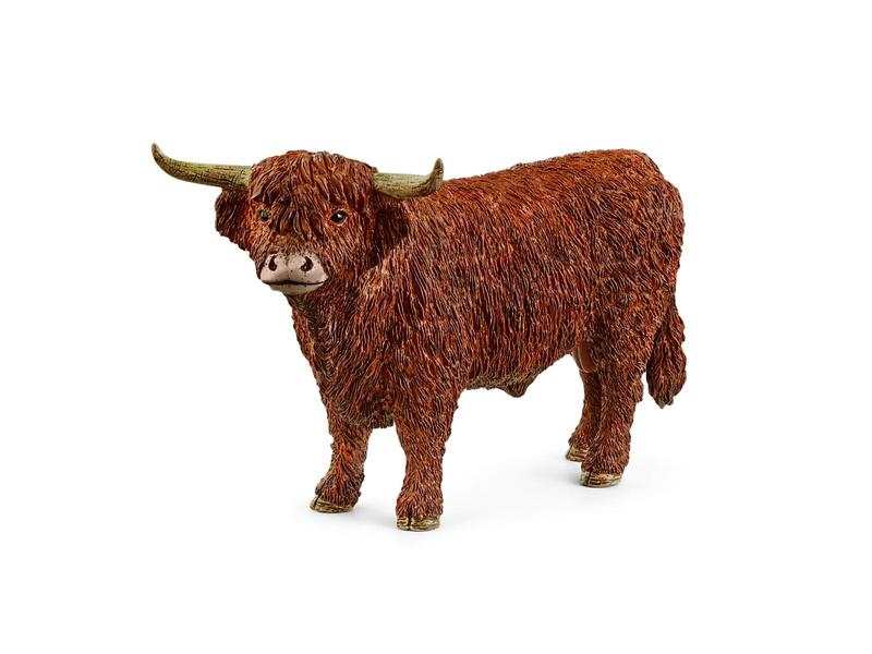 Taureau highland