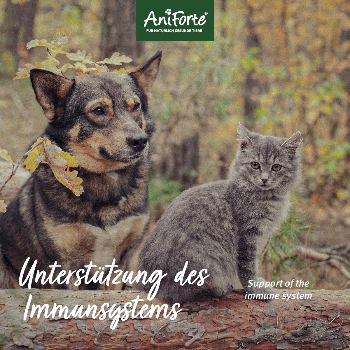 Aniforte Ergänzungsfutter & Aufzucht Aniforte Bio Kokosöl 400 ml