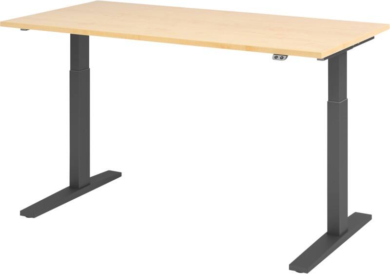 Hammerbacher Sitz-Stehschreibtisch VXMKA16/3/G Ahorn, Graphit 1.600 x 800 x 1.200 mm