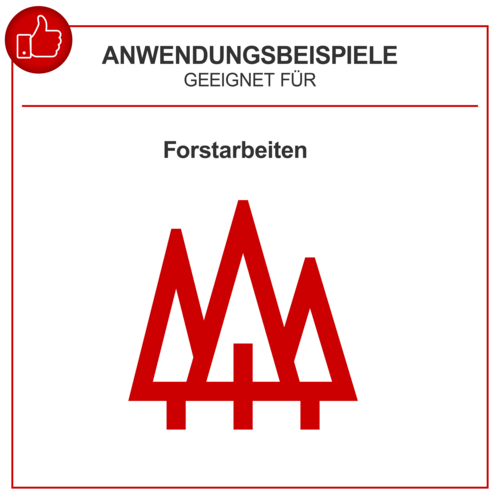 Scheppach Benzin Kettensäge CSP530S inkl. Brille und Gehörschutz