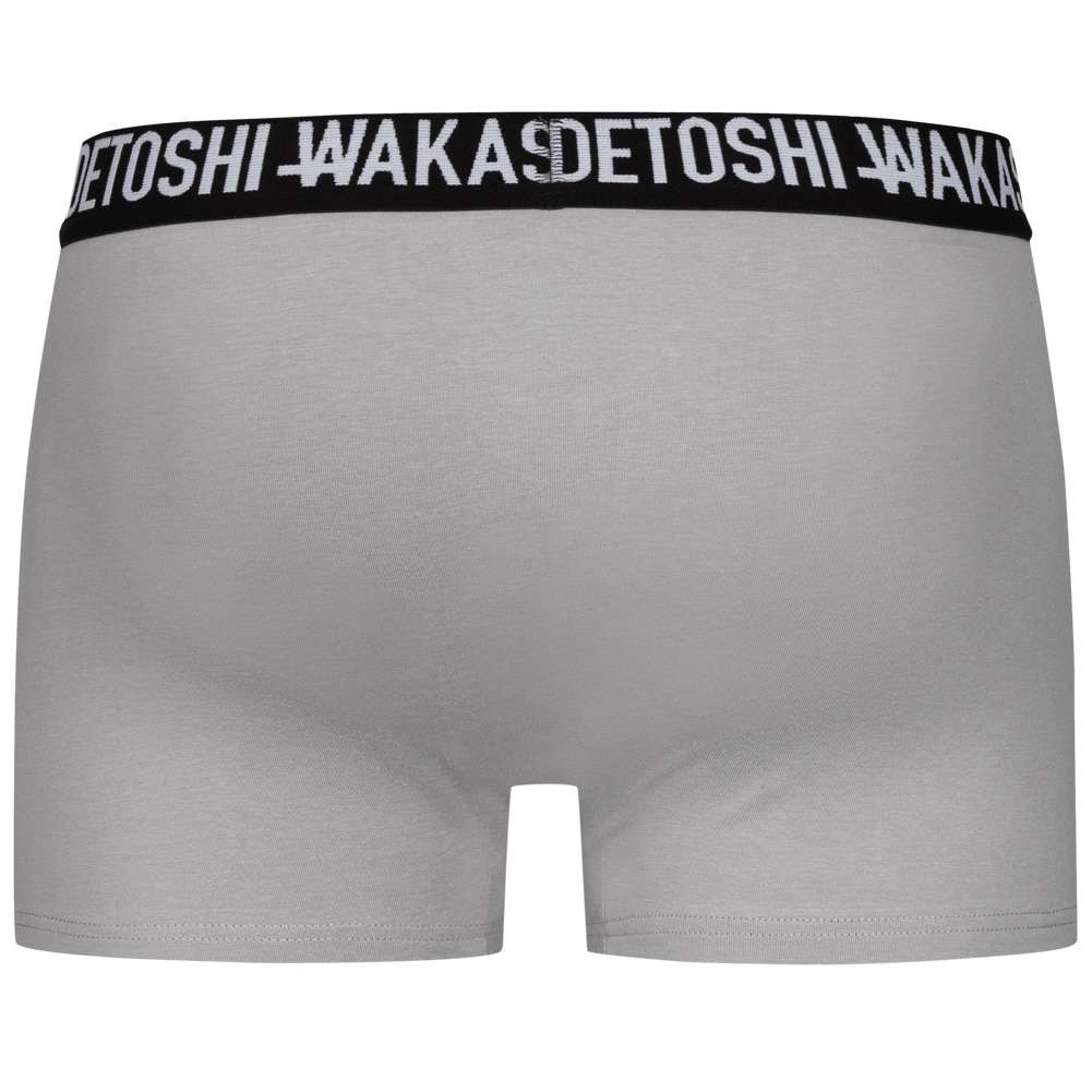 HIDETOSHI WAKASHIMA 