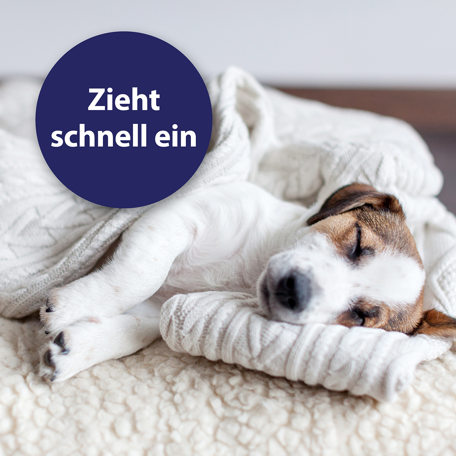 Canosept Pfotenpflege Canosept Pfotenpflege für Hunde 75 g