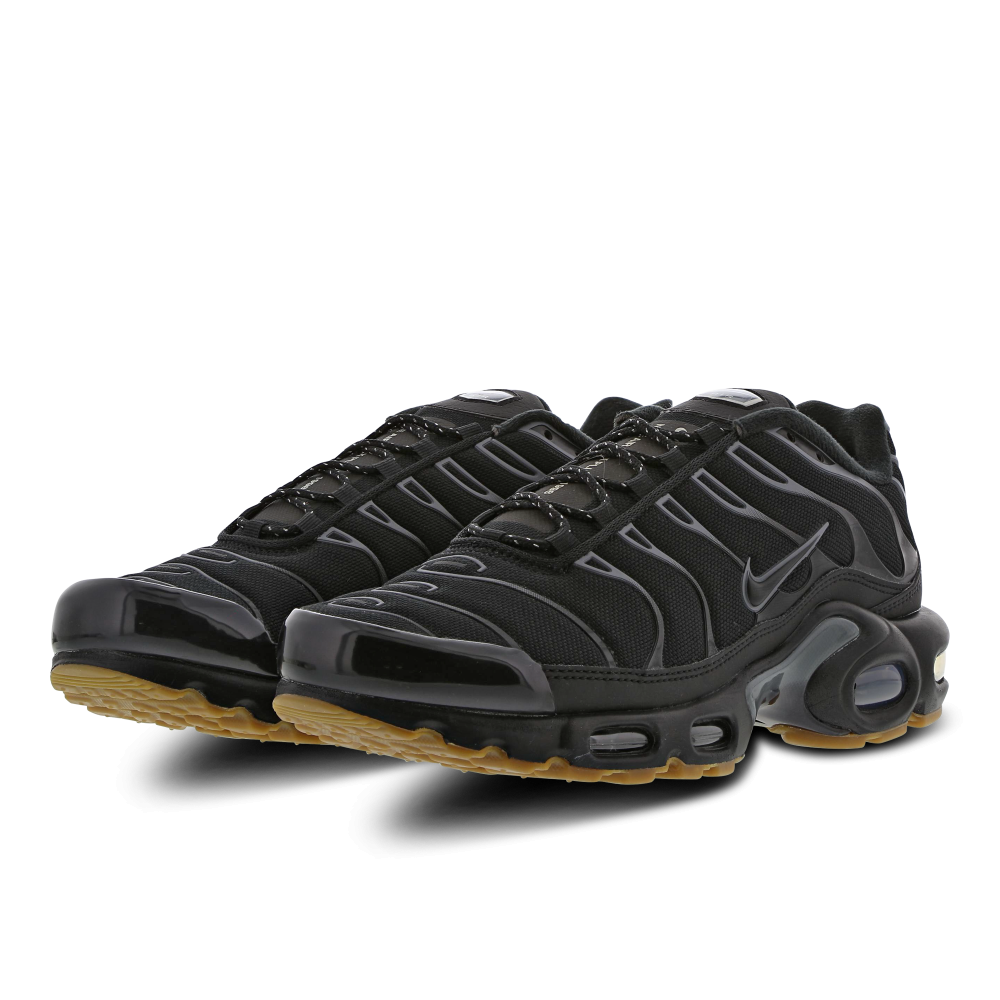 Nike Air Max Plus FV0385-001 / schwarz