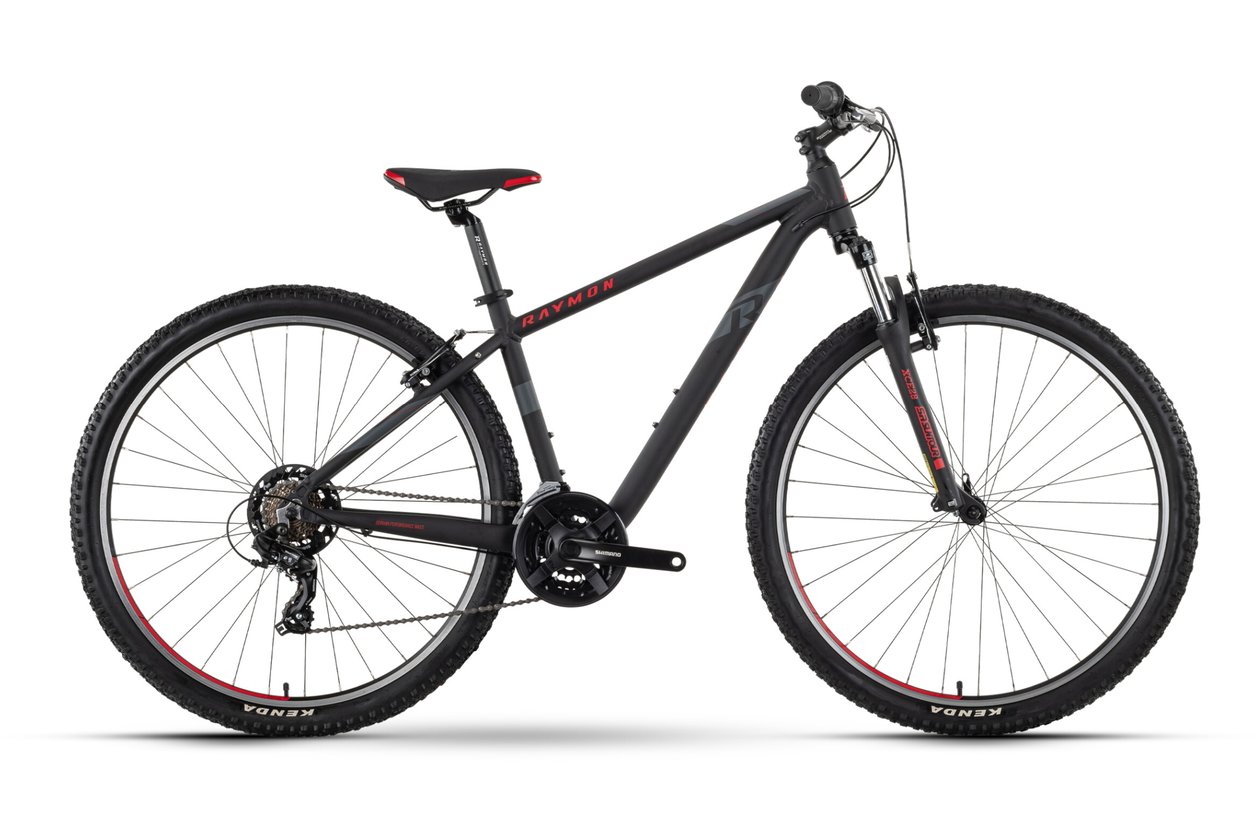 Raymon NineRay 1.0 - 2023 - 29 Zoll - Diamant