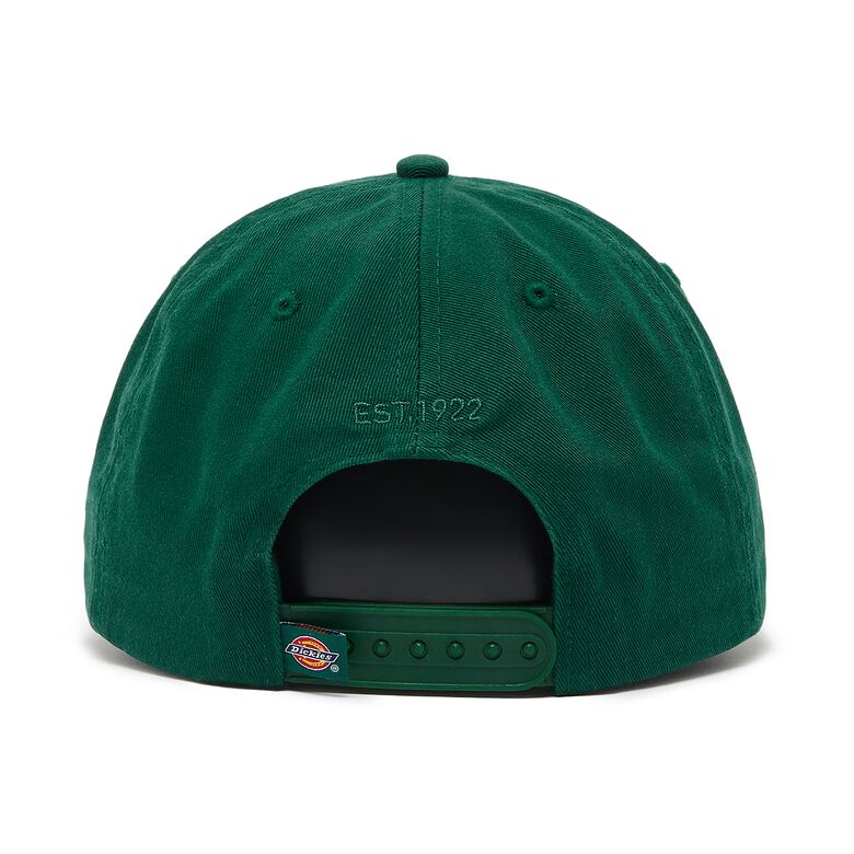 Dickies Hardwick aventurine