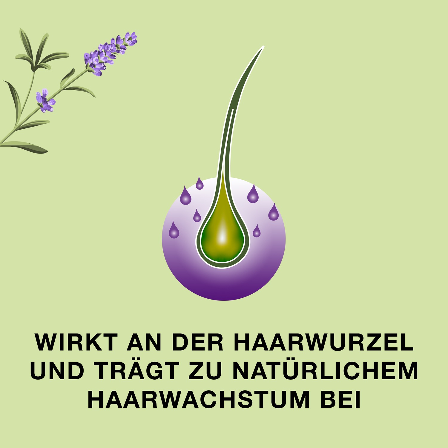 Liquid Pumplösung