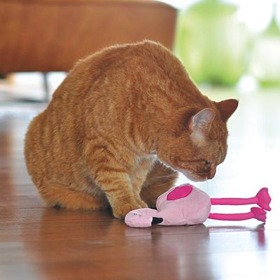 Aumüller Flamingo Pinky mit Baldrian und Dinkelspelz