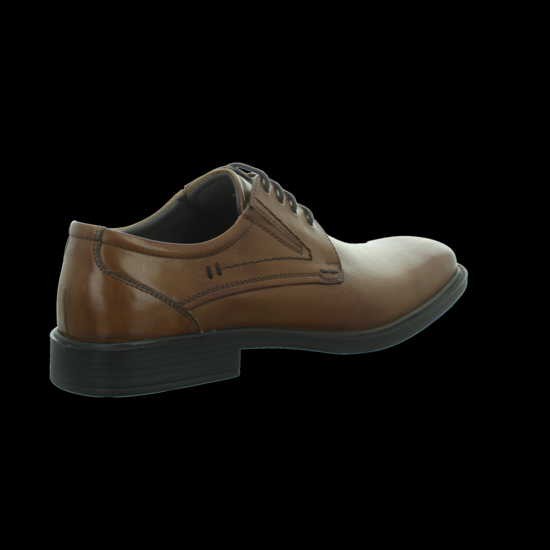 LONGO Sneaker braun Lager,cognac