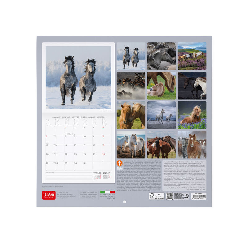 Calendario de pared 2025 - 30 x 29 cm