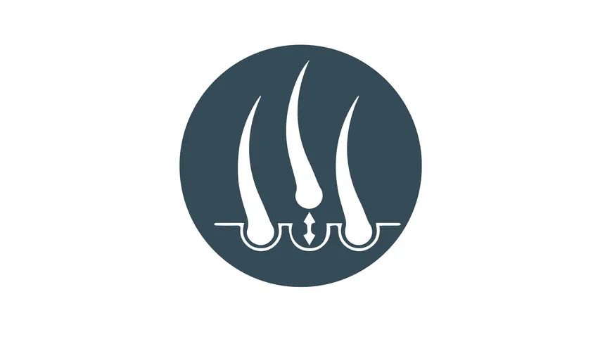 Velform Epilwiz Epilierer