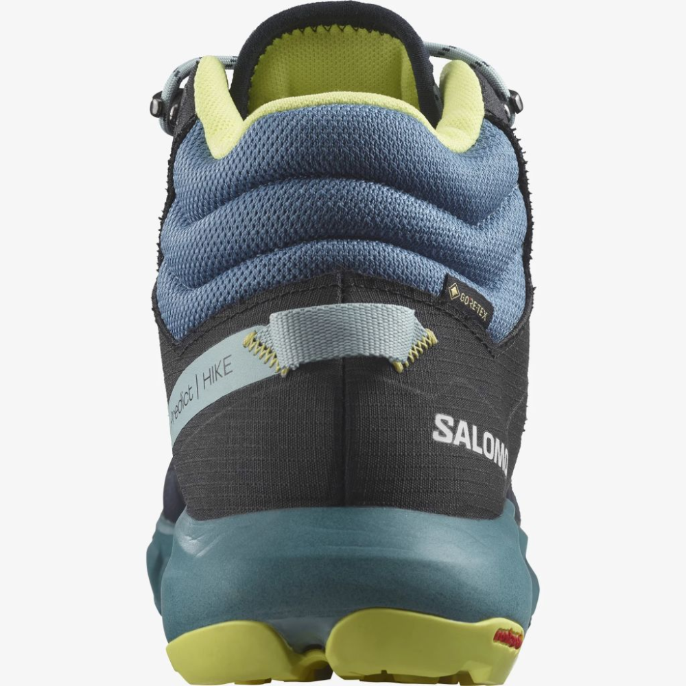 Salomon Predict Hike Mid GTX L47154500 / bunt