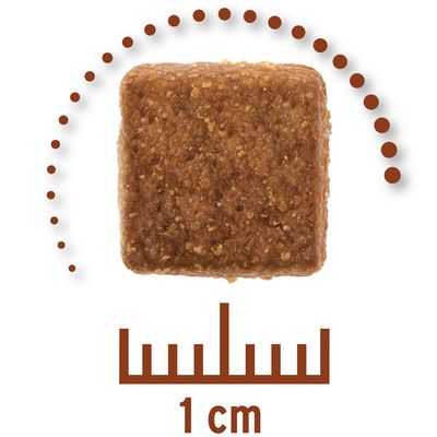 Sparpaket Concept for Life Veterinary Diet 2 x 12 kg