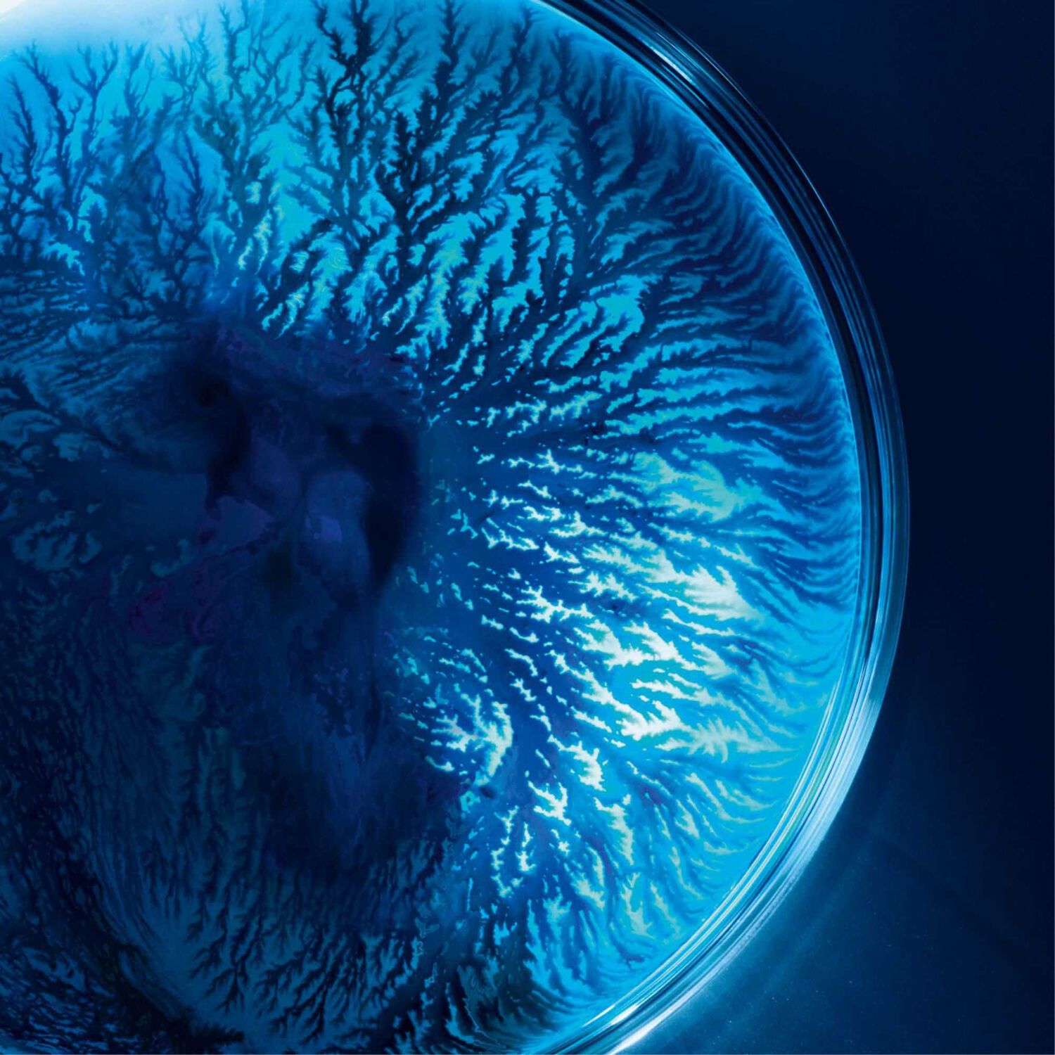 Biotherm Life Plankton Masque Tissu Hydratant et Régénérant x6