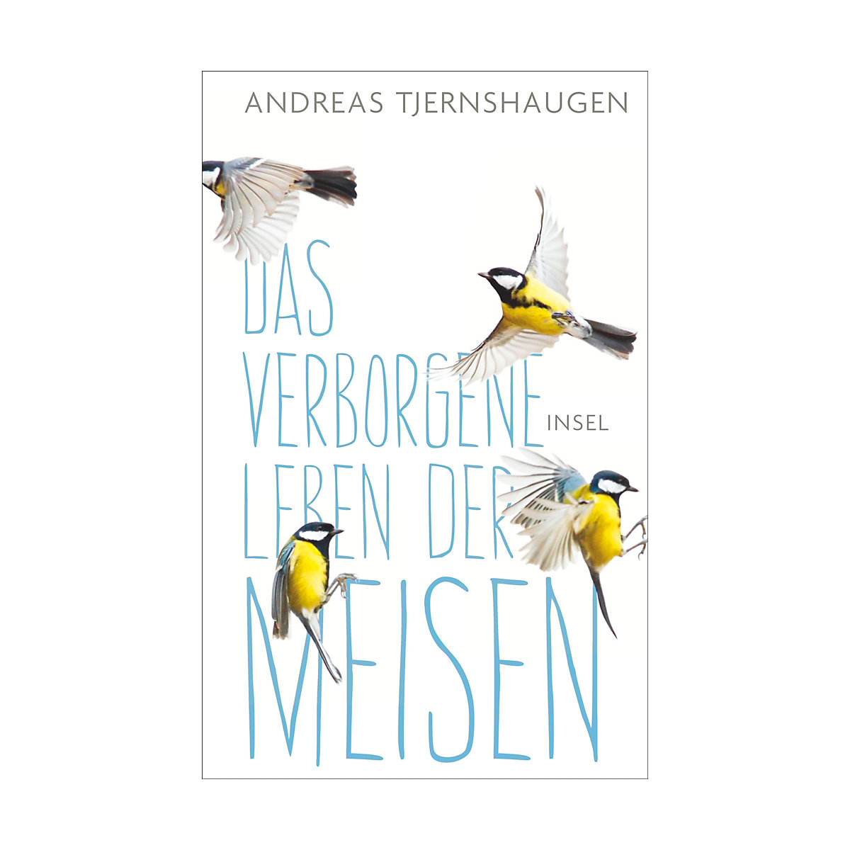 Das verborgene Leben der Meisen