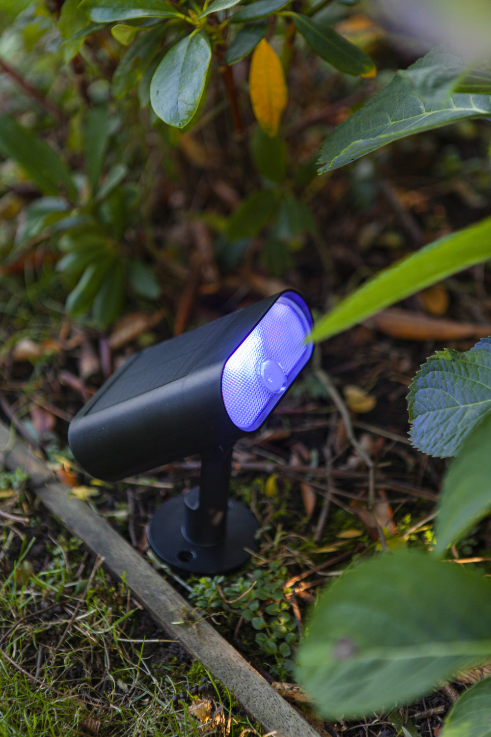 Solar Wandfluter Ginbo schwarz