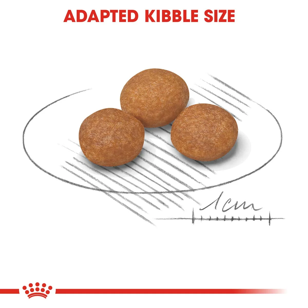 ROYAL CANIN X-SMALL Adult 8+ Trockenfutter für ältere sehr kleine Hunde