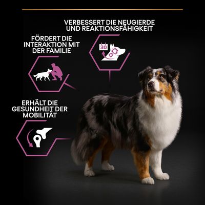 PURINA PRO PLAN Medium & Large Adult 7+ Age Defence
