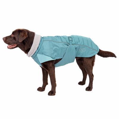 Nomad Tales Spirit Softshell-Hundemantel Pacific