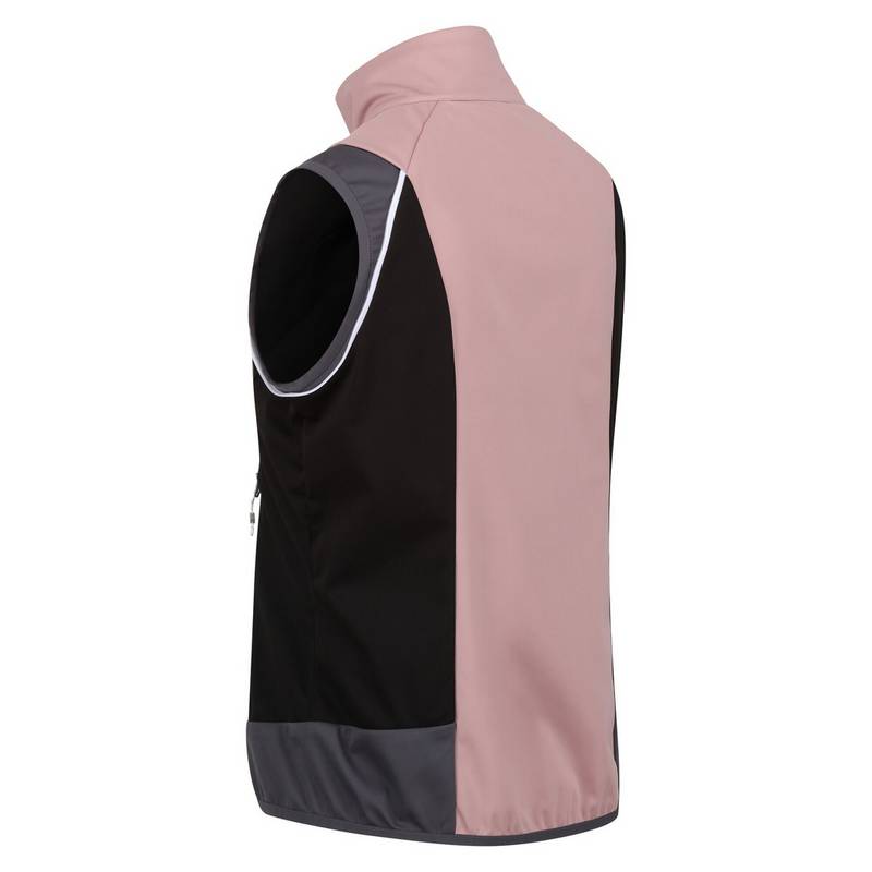 Regatta Steren Outdoorjacke Damen