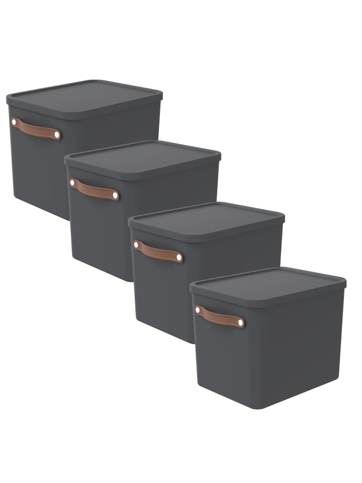 Rotho 4er-Set Aufbewahrungsbox Maloja 27l günstig kaufen onesize