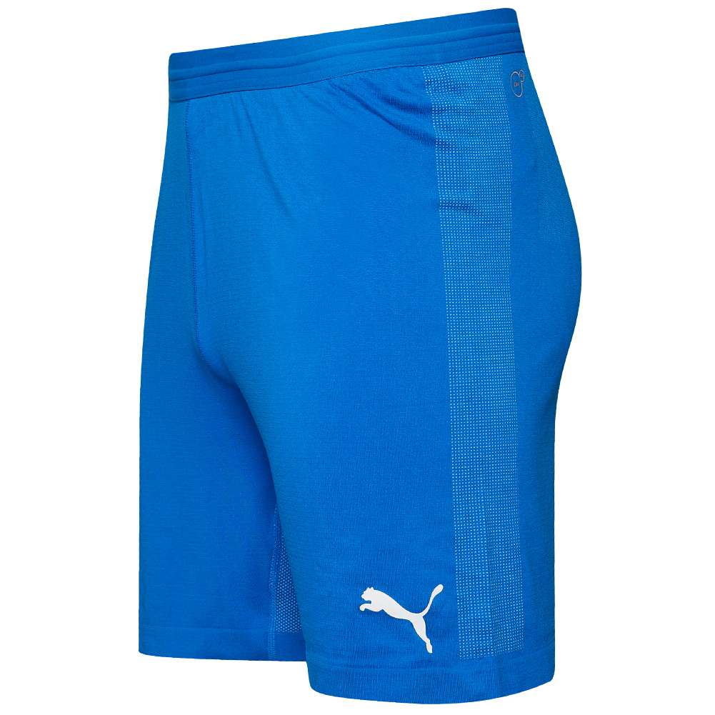 Tschechien PUMA Herren Shorts 752536-03