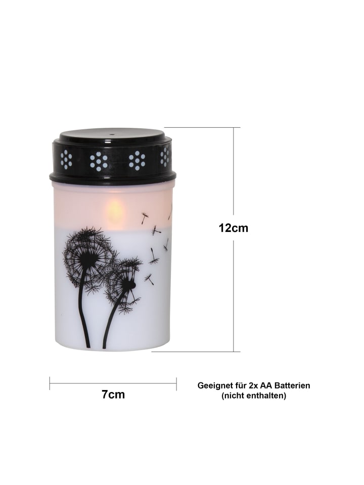 STAR Trading LED Grabkerze 'Dandelion', Timer, 12cm günstig kaufen onesize