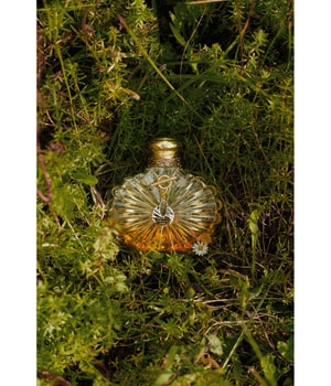 Lalique Soleil Vibrant Eau de Parfum 100 ml
