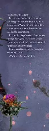 Ravensburger Twisted Fate, Band 1: Wenn Magie erwacht