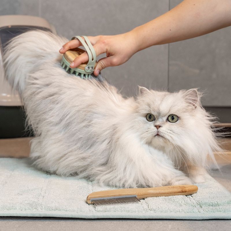 kooa Massagebürste für Katzen zu TOP-Preisen
