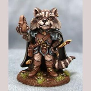 Waschbär-Dieb