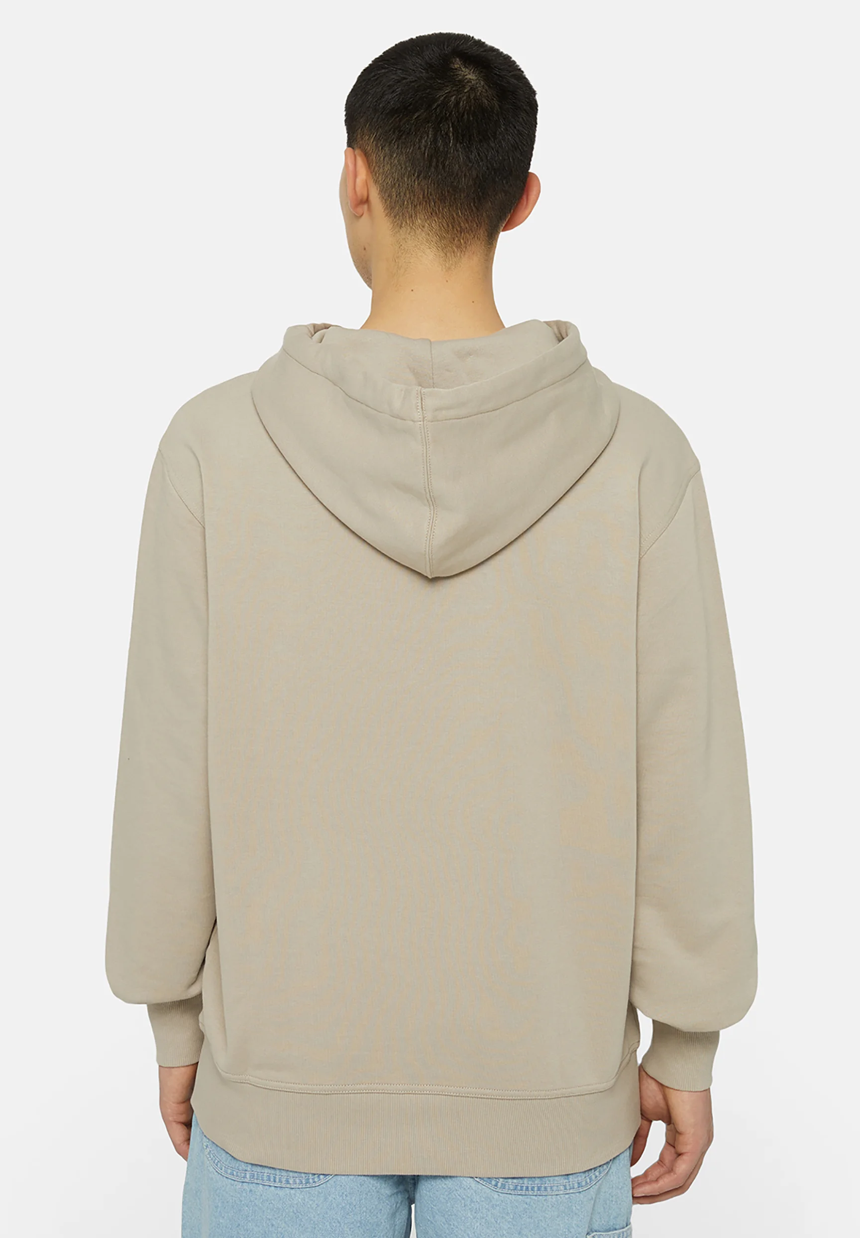 Dickies HERNDON - Sudadera con capucha