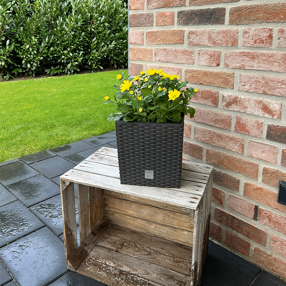 Protanic Powertec Garden Blumentopf 