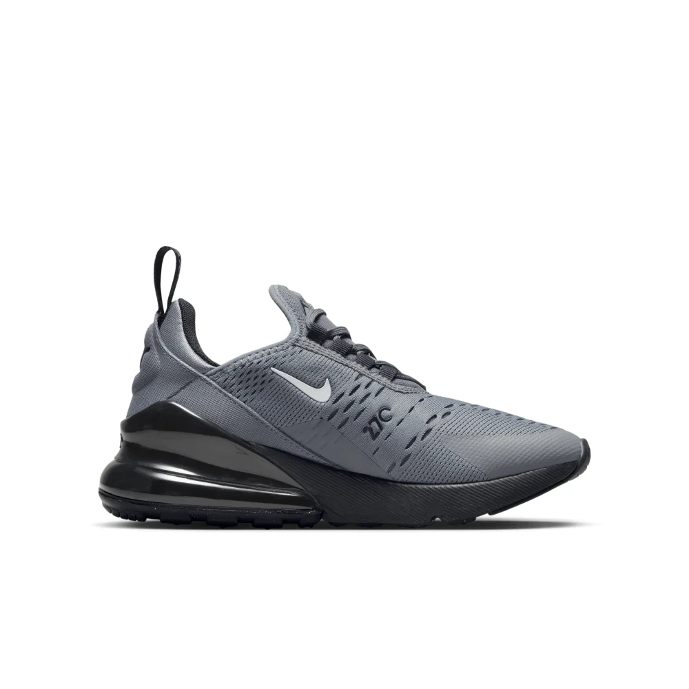 Nike Air Max 270 FN7786-001 / grau