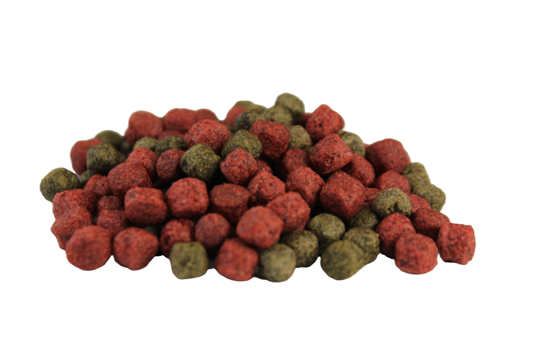 Silbermann Hauptfutter Silbermann Seidenraupen 5 kg
