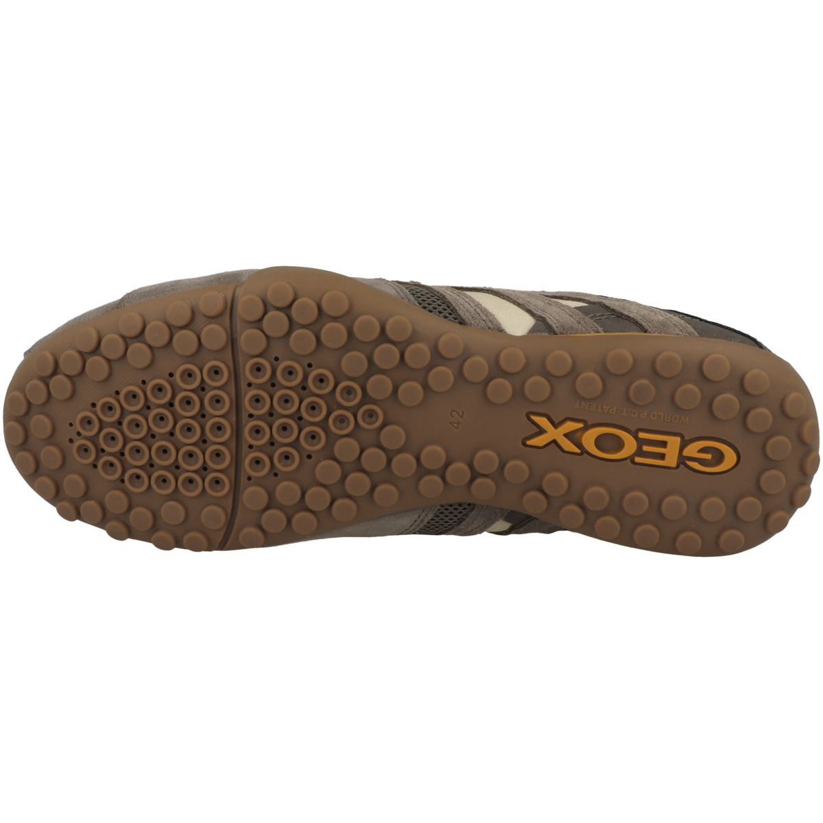 Geox U Snake A Sneaker Low grau