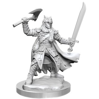 D&D Frameworks: Male Half-Elf Ranger (2)