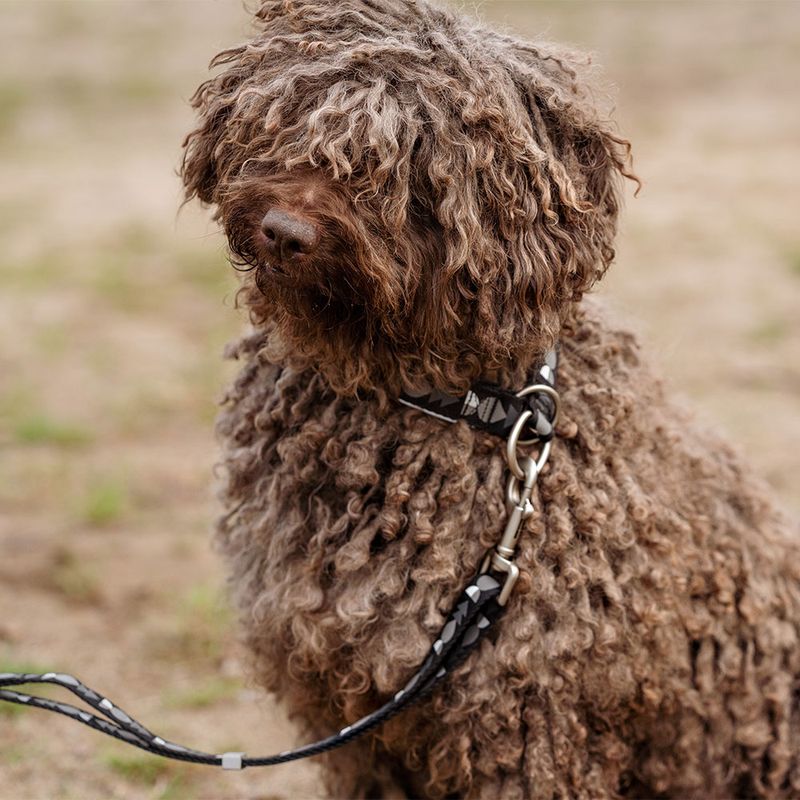 Hurtta Bare Zug-Stopp Halsband, coal zu TOP-Preisen