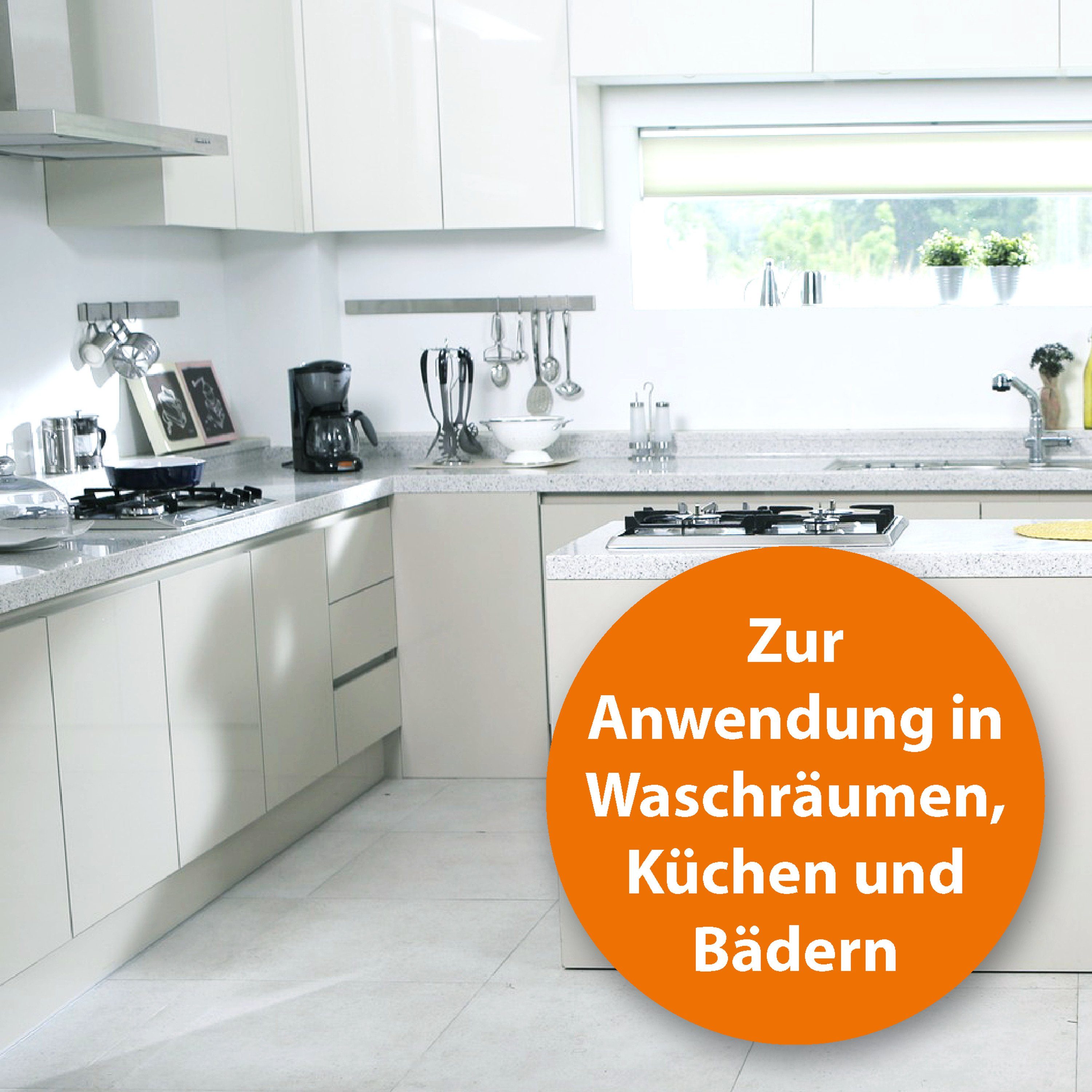 Ardap Insektenspray ARDAP® Silberfischchen Spray Insektizid mit Sofort- und Langzeitwirkung bis zu 6 Wochen 400ml