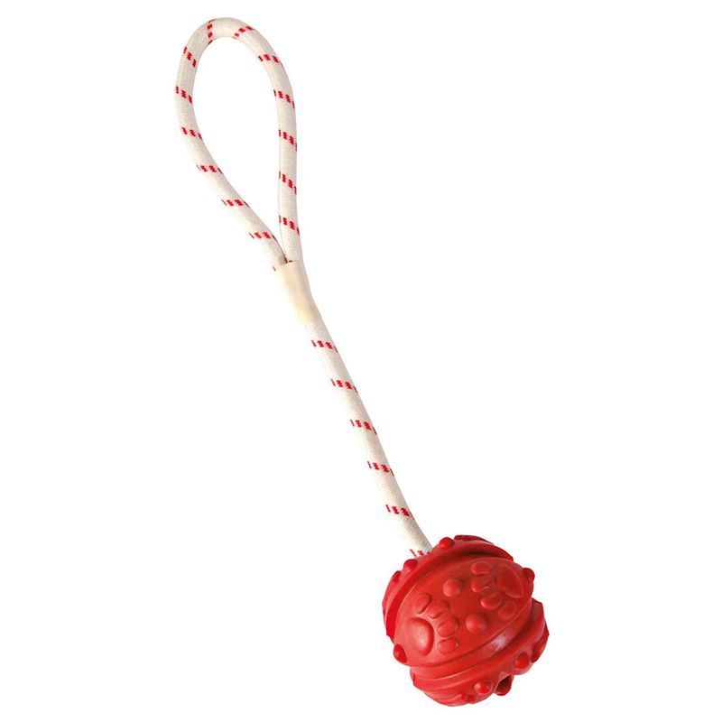 Trixie Aqua Toy Ball am Seil zu TOP-Preisen