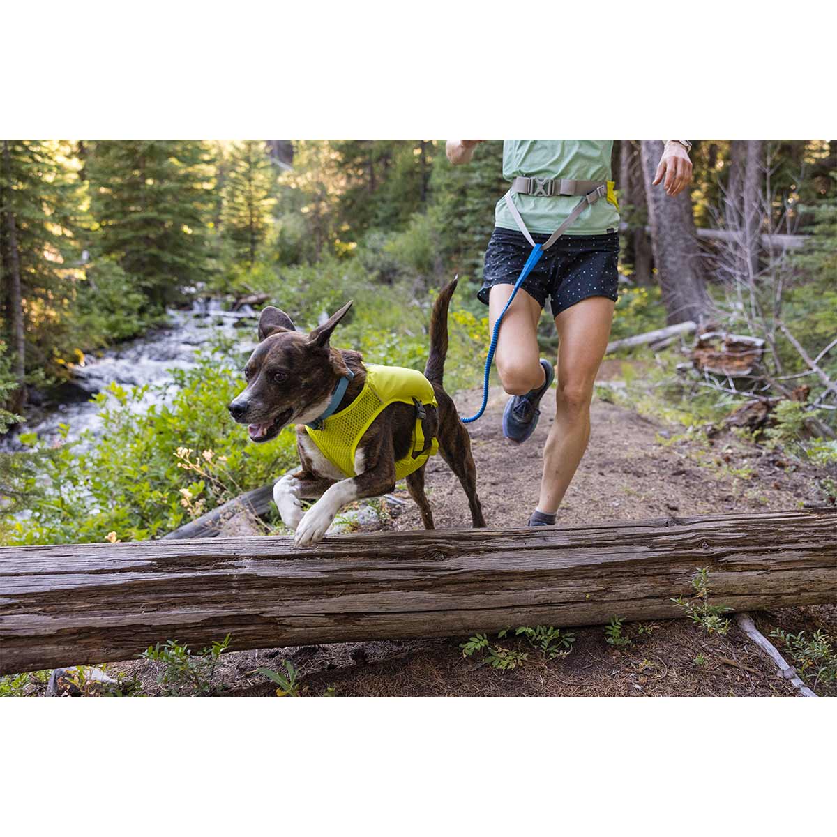 Ruffwear Trail Runner Leine günstig kaufen bei ZooRoyal