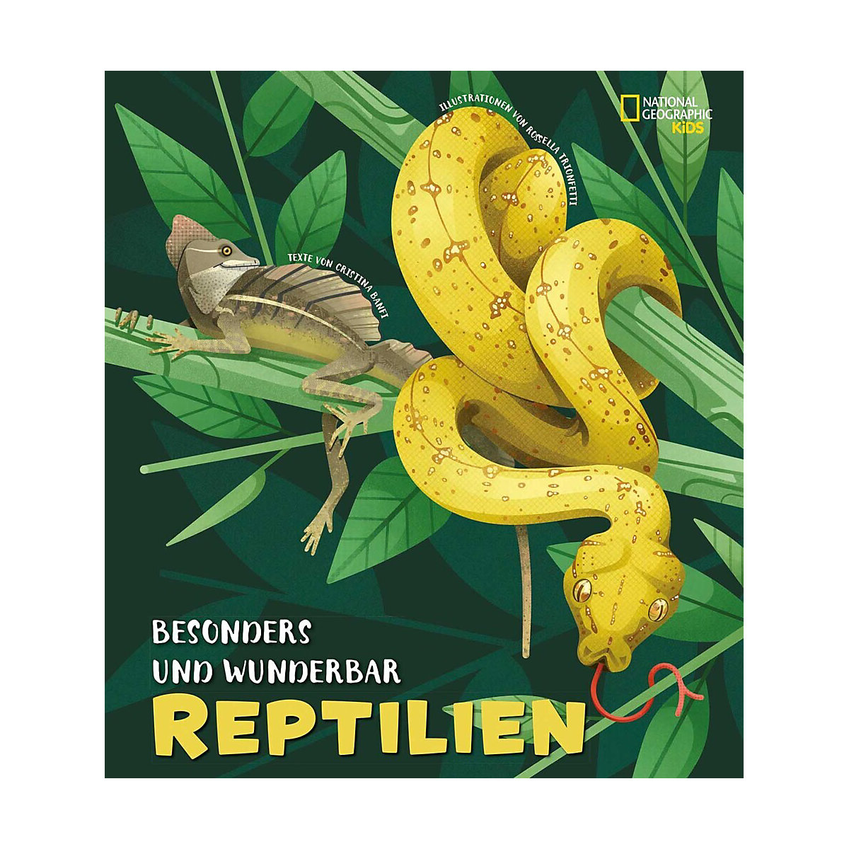 Besonders und wunderbar: Reptilien