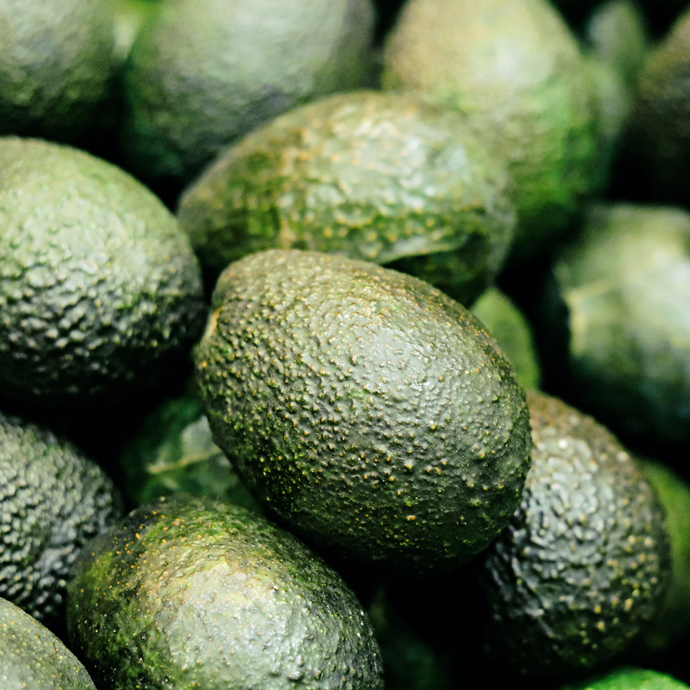 Rausch Farbschutz-Shampoo mit Avocado 40 ml